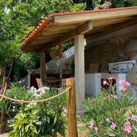 Da Minha Terra 1890 Pres D'un