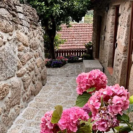 Da Minha Terra 1890 Pres D'un *