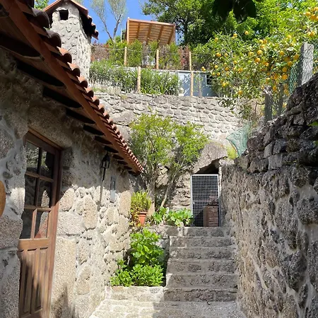 Da Minha Terra 1890 Pres D'un *